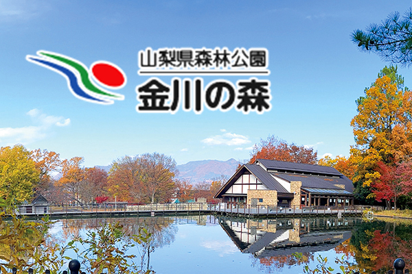山梨県森林公園 金川の森
